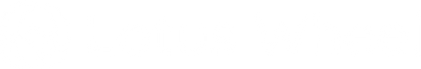 Lotus Wheel LLC
